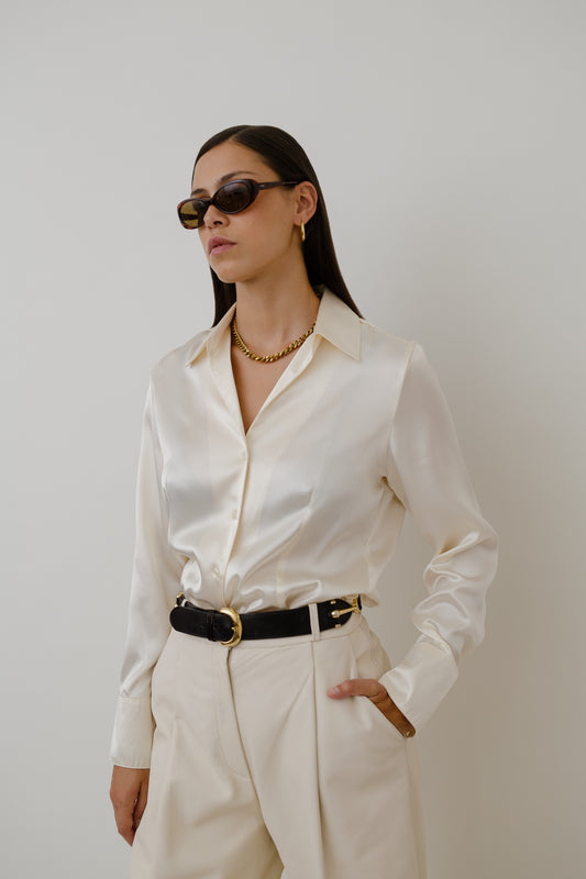 Shiny elegant blouse